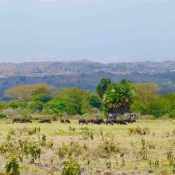 Arusha-National-Park-1