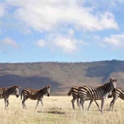 Ngorongoro Crater-9