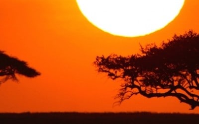 Serengeti-sunset