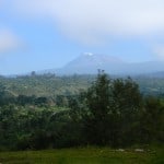 Kilimanjaro-Day-Hike-3