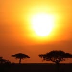 Sunset-in-Africa