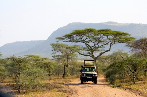 Tansania Safaris