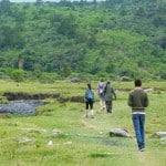 Arusha-National-Park-Walking-Safari