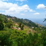 Usambara-Mountains-2