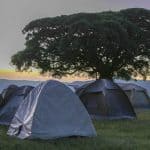 Simba Camp Ngorongoro Crater-3