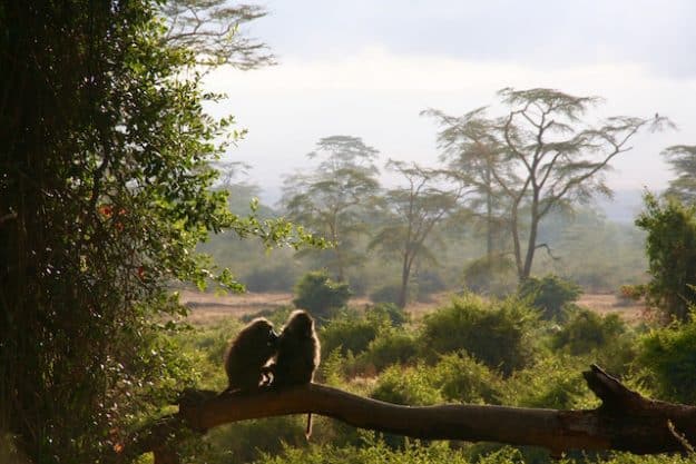 Arusha National Park 